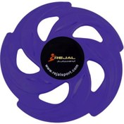 تصویر فریز بی بشقاب پرنده ۵ پر رنگی 