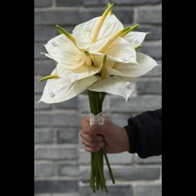 تصویر دسته گل آنتریوم 