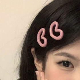 تصویر گیره چفتی 