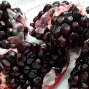 تصویر نهال انار دون سیاه 