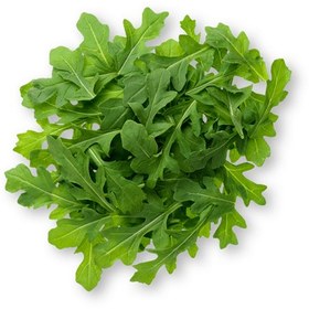 تصویر سبزی روکولا arugula