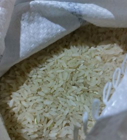 تصویر برنج کامفیروزی اصل درجه یک امساله [برداشت1402] (10کیلویی) ا kamfiruzi rice kamfiruzi rice