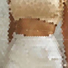 تصویر زنجیرشکم گویی ستاره 