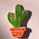 تصویر مگنت یخچال کاکتوس 