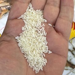 تصویر برنج آذرخش شمال ایرانی قیمت و کیفت عالی 
