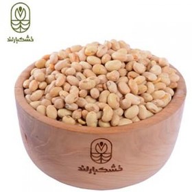 تصویر سویا آجیلی 