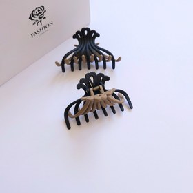 تصویر کلیپس مو چنگکی دو رنگ 