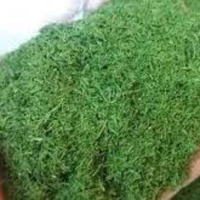 تصویر شوید خشک سبز 200گرم 