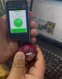 تصویر پیازقرمز ارگانیک 