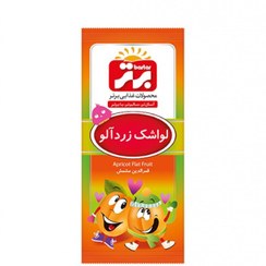 تصویر لواشک زردآلو 30 گرم 10 عددی برتر 