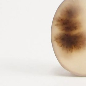 تصویر سنگ شجر کد 3031 