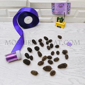 تصویر میوه توسکا بسته 100 عددی 