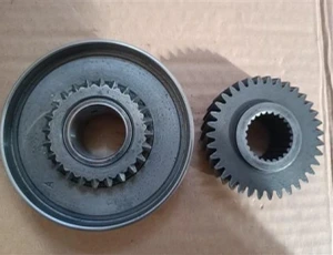 تصویر فروشگاه قربانی تهران