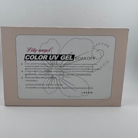 تصویر پینت ژل ۲۴ عددی 