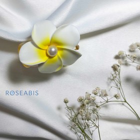 تصویر کلیپس گل ارکیده 