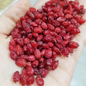 تصویر زرشک سرخ درجه یک (100گرمی) 