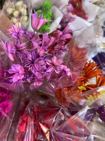 تصویر گل خشک لاله سوزنی 