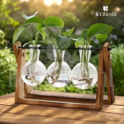 تصویر گلدان شیشه ای تراریومی با پایه چوبی ۳ تایی 