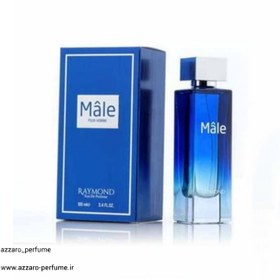 تصویر ادکلن مردانه رایموند مدل MALE حجم 100 میل Raymond male cologne, model MALE, volume 100 ml