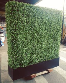 تصویر پنل دیوار سبز مصنوعی استوایی 