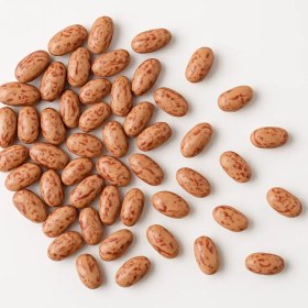 تصویر لوبیا چیتی 