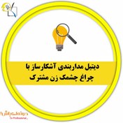 تصویر دیتیل مداربندی آشکارساز با چراغ چشمک زن مشترک 