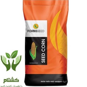 تصویر بذر ذرت ماکا makka corn seed