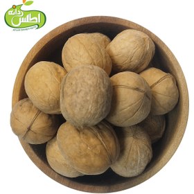 تصویر گردو B1 بلغاری 