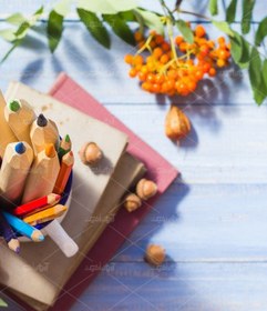 تصویر عکس با کیفیت مداد رنگی کنار میوه های قرمز 