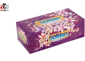 تصویر دستمال کاغذی 300 برگ سری باغ بهشت سافتلن Softlan Facial Tissue