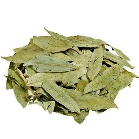 تصویر گیاه برگ سنا درجه یک 