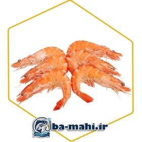 تصویر میگو پرورشی 40_50 