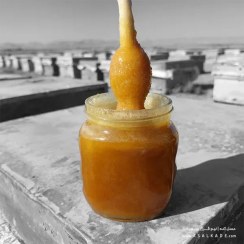 تصویر عسل کنار خام - ارگانیک - وزن-خالص: یــک کیلـویی + ضمانت اصالت 