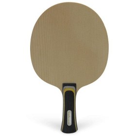 تصویر چوب راکت دونیک OVTCHAROV FEAT 