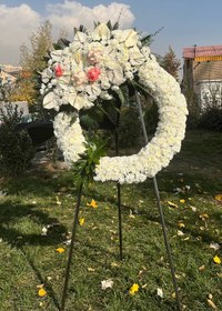 تصویر تاج گل درباری رینگی کد 172 