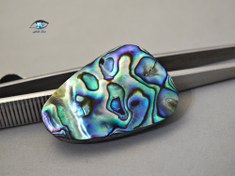 تصویر صدف آبالون طبیعی 7 گرم 