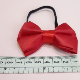 تصویر پاپیون نقلی 