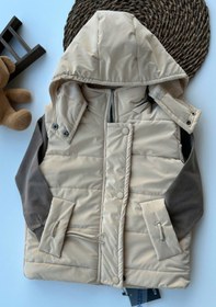 تصویر پافر بچگانه 