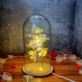 تصویر گل رز جاودان گلکسی کریستالی باکس استوانه ای | کادو ولنتاین 