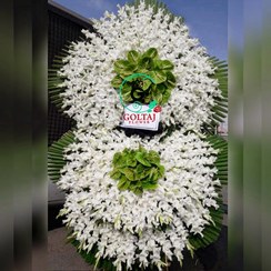 تصویر تاج گل آسنا 