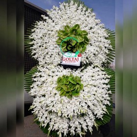 تصویر تاج گل آسنا 