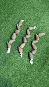 تصویر اسباب بازی آویز جویدنی خرگوش خوکچه همستر مدل کاج بهداشتی 