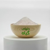 تصویر گرده لقاح (نخل) 