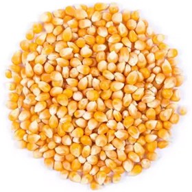تصویر ذرت (پاپ کرن)500 گرم 