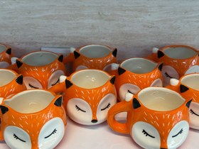 تصویر کله روباه صورت سفید 