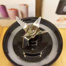 تصویر شیکر شارژی الگانت ۶ تیغه 