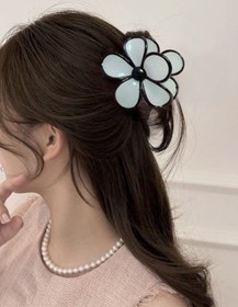 تصویر کلیپس گل پینترستی - کد 