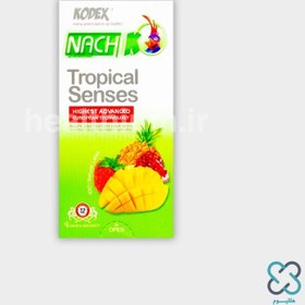 تصویر کاندوم کدکس مدل Tropical Senses بسته 12 عددی ا Nachi Kodex model Tropical Senses Condom - Package 12 pieces Nachi Kodex model Tropical Senses Condom - Package 12 pieces