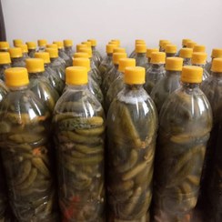 تصویر خیارشور 