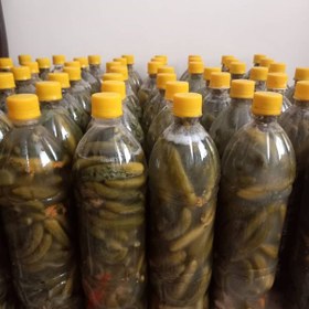 تصویر خیارشور 